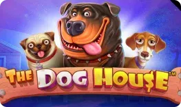 Jackpot Casino giochi The Dog House